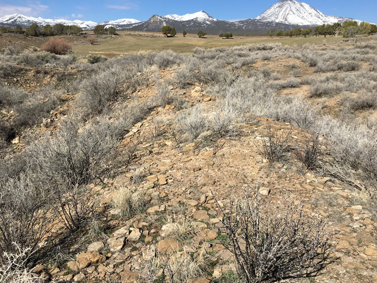 Yucca House National Monument